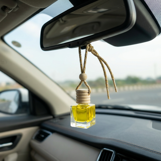 Citrus Lemon Car Diffuser